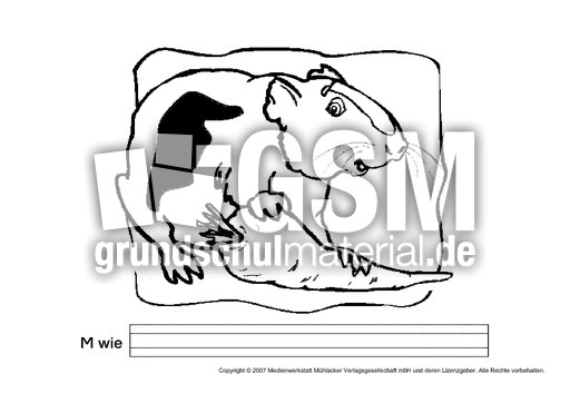 M-wie-Meerschweinchen.pdf